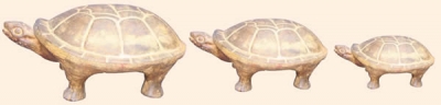 Juego Tortuga Extra